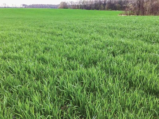 Cover crop guidelines updates